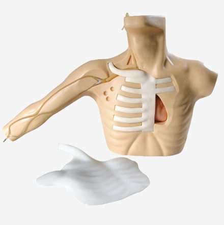 ���ľ������̲��ģ�� �����ʽṹ �����¾������̼����ھ�������