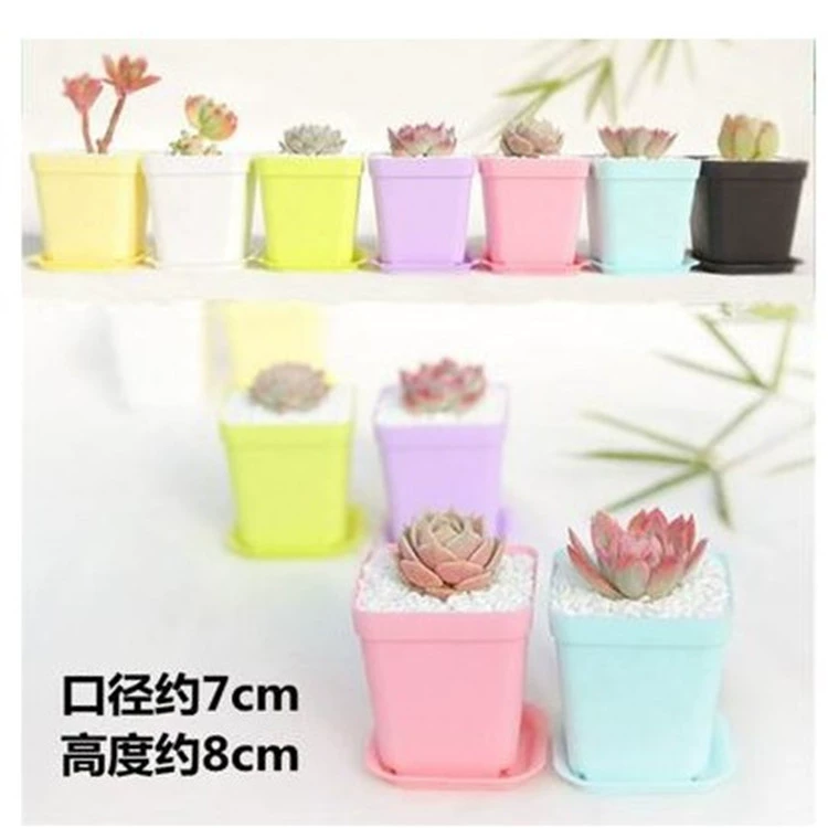 Цветное утолщенное мясистое растение Пластиковый цветочный горшок Высококачественный маленький мясистый горшок Маленький квадратный горшок Лоток Цвет Квадратный Размер Черный квадрат