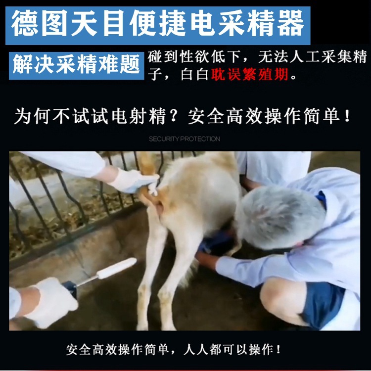 Recolector de esperma de estimulación eléctrica veterinaria cerdo ganado caballo ovejas burro gato conejo tortuga ratón cría de animales colección de esperma artificial con palo de Recolección de esperma