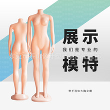 ���������Ж|����ģ�؎��ִ���Ůģ��ȫ��o�^���wģ��mannequin