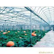 耐力板;采光板;阳光板