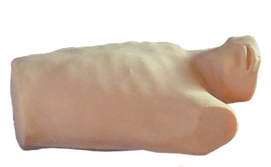 �İ�����������ע��ѵ��ģ��ҽѧ����ģ����ǰ������ѵ��ģ��