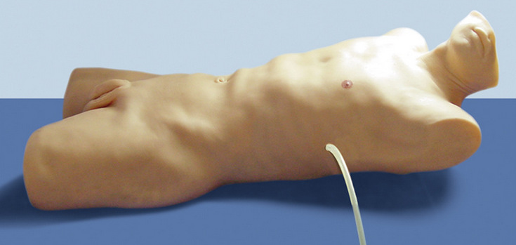 ��ǻ��ʽ������ѵ��ģ�� ҽѧ�̾� ����ģ�� ��ѧģ��