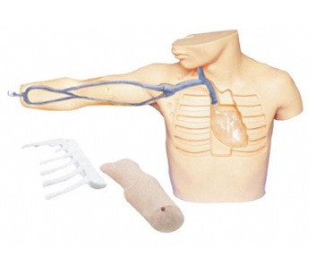 ���ľ������̲��ģ�� �����ʽṹ �����¾������̼����ھ�������