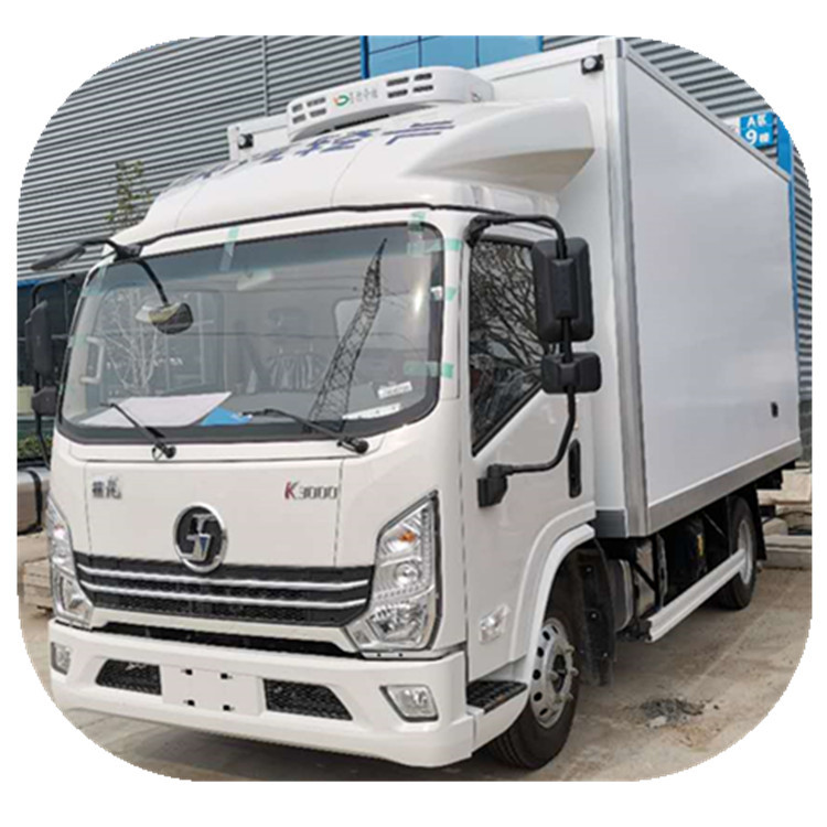 Zhuhai 4.2m refrigerado coche de aislamiento de calor Shaanxi Automobile Delong marca azul alimentos frescos verduras carro de refrigeración de cerdo