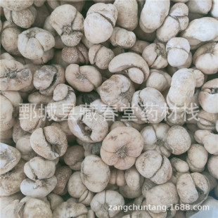 ��ؐ500g  ��ș�����l������ؐ��ؐ����ă�