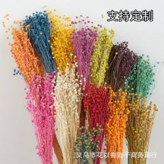 【アカシア豆乾花】文芸永生花diy手作り花材包民宿生け花赤緑色花束乾果