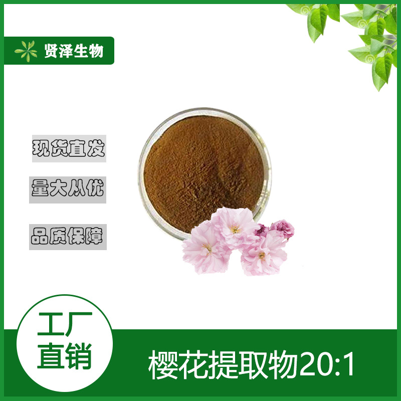 樱花提取物20:1 樱花粉 水溶性浓缩粉 多规格提取 贤泽生物 现货