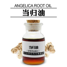 w 1KG R硾w͡ Angelica root Oil wԭ