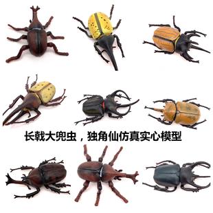 �羳���xģ�ͷ����Lꪴ��x ������ ���x�������o�B����������l