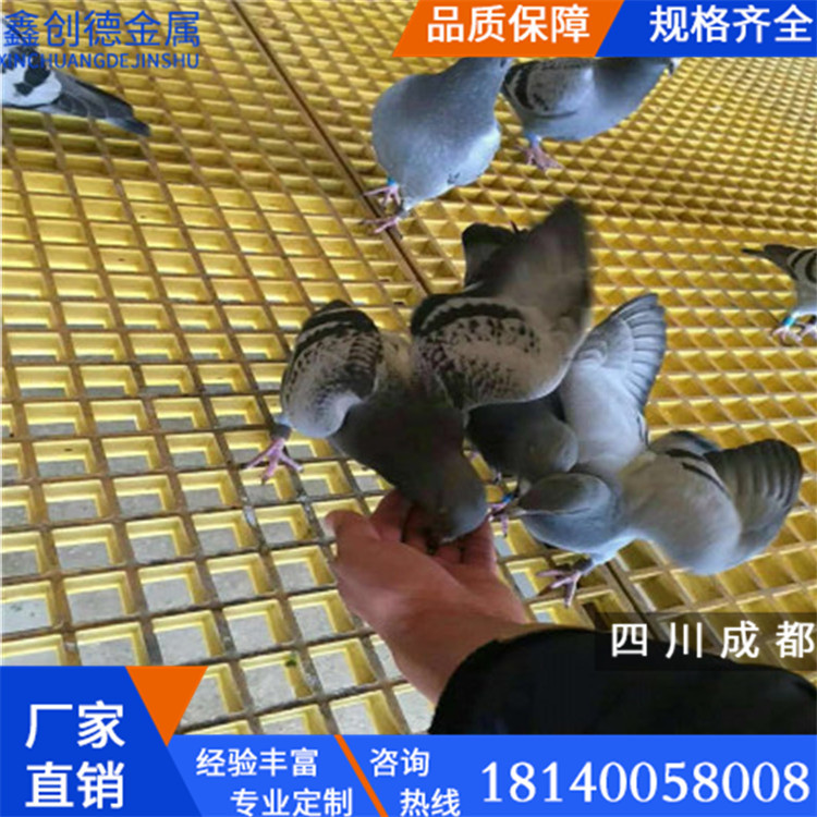 厂家现货鸽舍网格漏粪格栅养殖鸽笼赛鸽公棚地网2x1米钢格栅现货