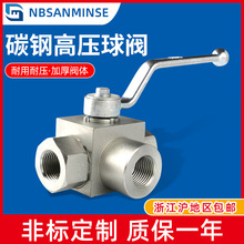 ��˿��ѹ�� �ֶ�̼���͸�ʴҺѹ��ѹ�� G/LR/SR/NPT��ͨL�͸�