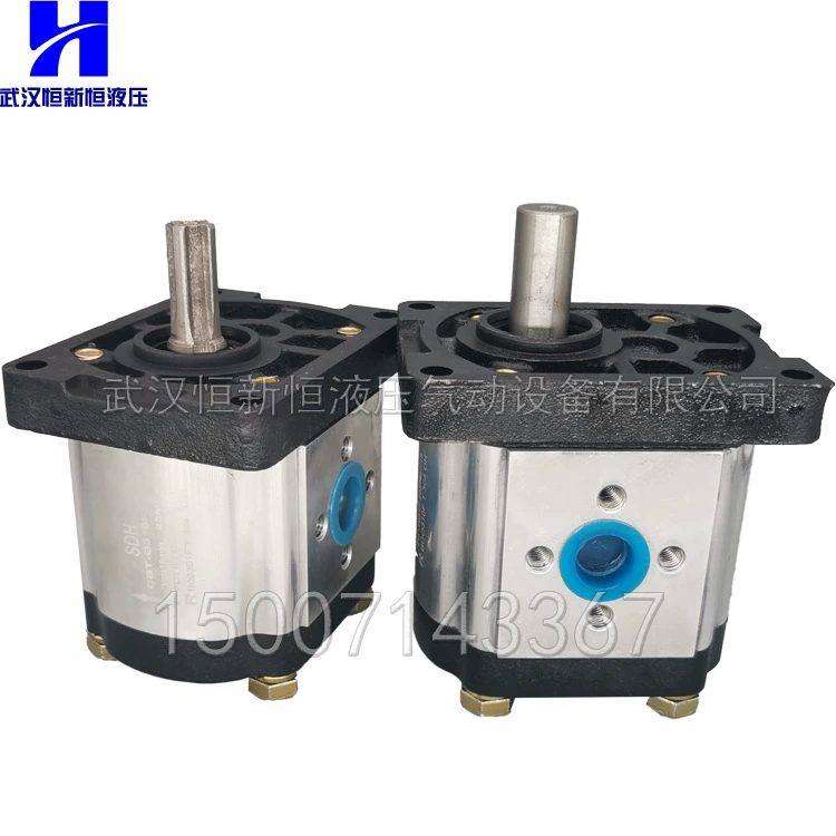 Гидравлический насос cbt-g304f 306 CBN-F 310 314 316 320 325 SDH Шестеренчатый насос высокого давления