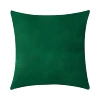 BZ0T18 (dark green)