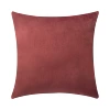 BZ0T25 (leather powder)