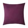 BZ0T31 (Deep purple)