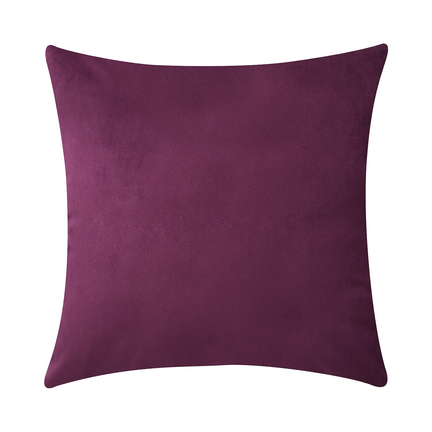 BZ0T31 (다크 퍼플)