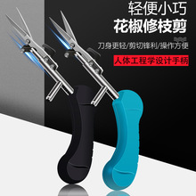 �羳ֱ�����^�ɹ������ò�ժ������轻�ˇ�����廨��֦��֦����֦