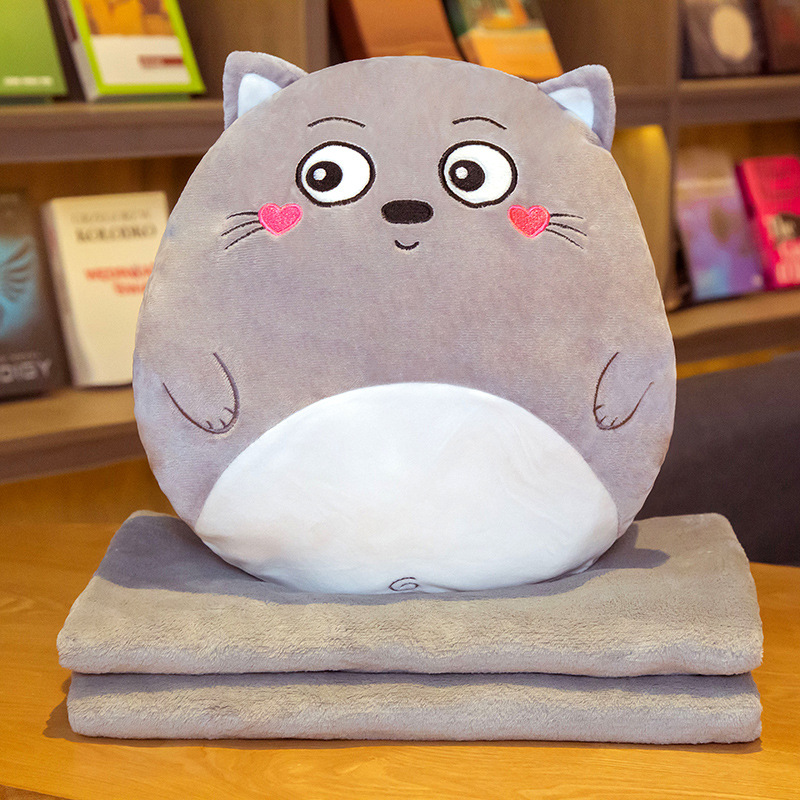 고양이