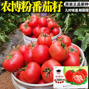 ���ѷN�ӷ��������t���N�ӷۼt���N���߲˷N�����l�˷N���Ѳ˷N��