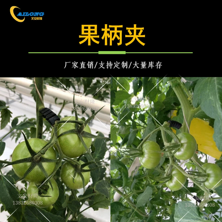 Зажим для ручки для томатов, предотвращающий складывание кольца, зажим для виноградной лозы, твердая опора для лозы, Пряжка для рассады, Пряжка для томатов, висящий зажим для виноградной лозы
