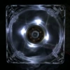 8cm-big 4P transparent white light (300 start-up)