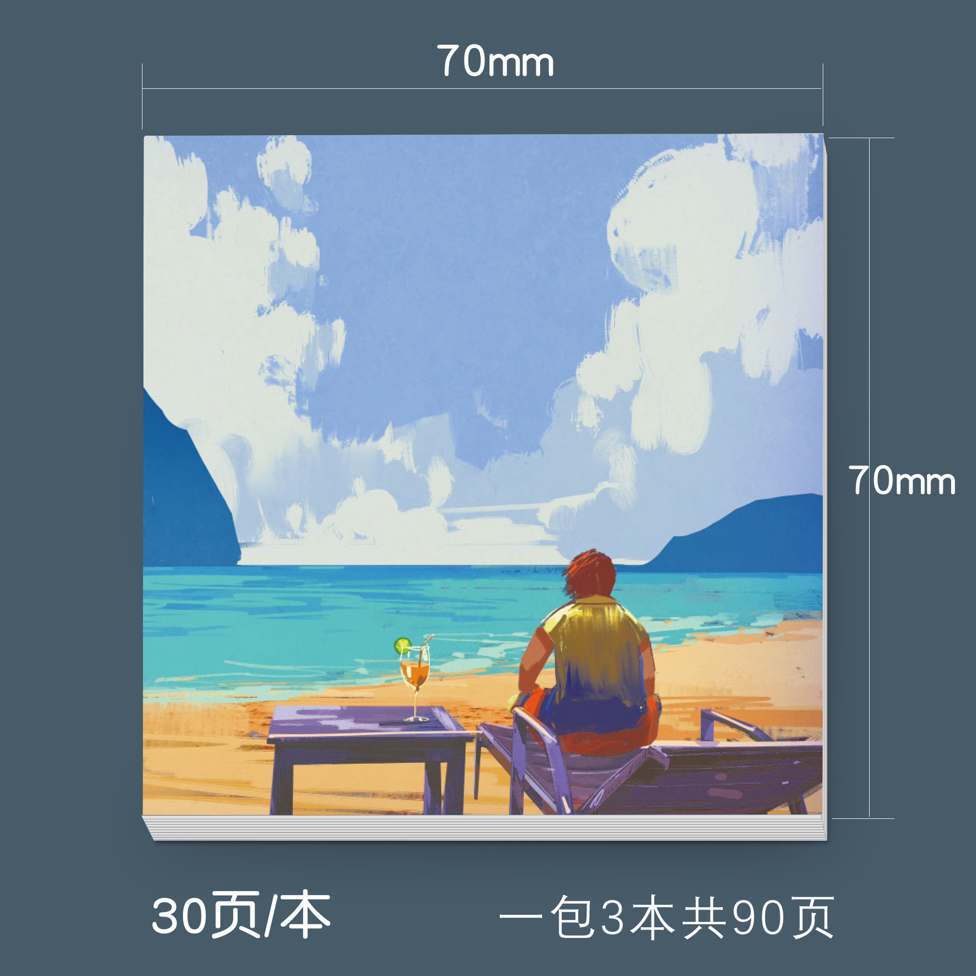 SR2009-14 바다를 바라보는 해변