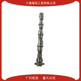 其他发动系统;油泵、油嘴;活塞/活塞环