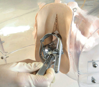 ͸���ι�ģ�� �ι�ģ�� Ů������ģ�� ��������ģ��