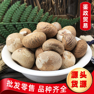 ���l���x ��z������ԭ�� ԭ�Ϲ�ɢ�� Ѫ�z������ �����������H