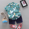Sleeves for boys, set, cartoon pony, shirt, T-shirt, 0-4 years, with short sleeve, 2 pieces, 1 pieces