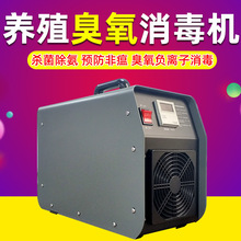 ���������C�Bֳ���ðl�����i���ó�����������������10g20g�����C