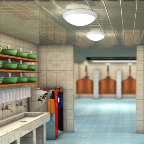 Three-proof ceiling light led bathroom moisture-proof and dust-proof round 12W18W24W three-proof bathroom ceiling light IP65