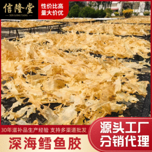 ���l��L�~�z�L�~�ǻ��z�~�B���a��ζ��؛�Ҝ���Ʒ���rˮ�aʳ��