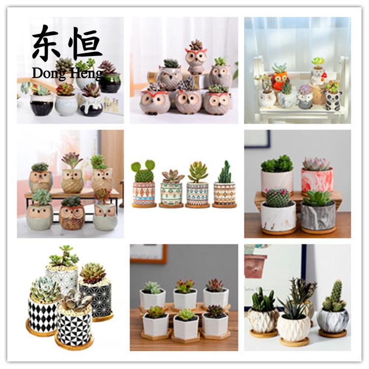 Dongheng Japanese and Korean-style Animal Flower Pot Mini Thumb Flower Pot Ornaments Kiln Change Owl Set Multi-meat Pot with Base Dongheng Japanese and Korean-style Animal Flower Pot Mini Thumb Flower Pot Ornaments Kiln Change Owl Set Multi-meat Pot with Base