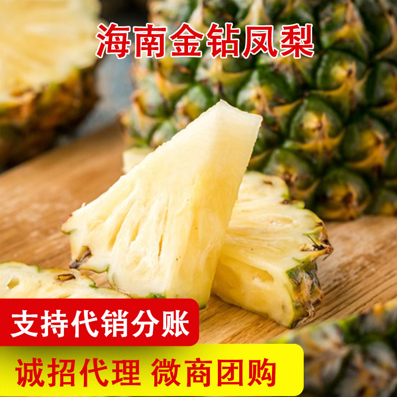 Directly Shipped from Hainan, Golden Diamond Pineapple, Mango Pineapple, Fresh Fruit, Hand-Torn Black Diamond Pineapple, Fragrant Big Pineapple