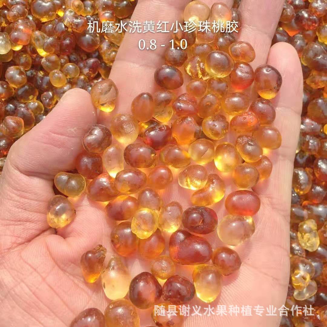 桃胶黄红小珍珠桃胶[0.8-1.0机磨-水洗]湖北产地一手货源大量批发