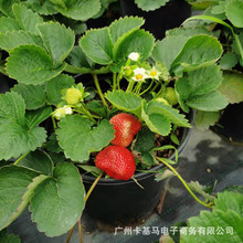 ����ֱ����ݮ�����Կ��^�p��ʳ�����Ͳ�ݮ�҃�ͥԺ�_�����ܹ�����