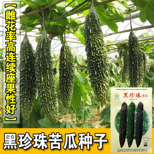 ��ϷN�ӿ����̨������ڿ�ϷN�ѿ�����߲˷N�����l�˷N����