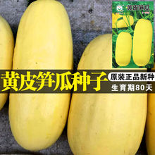 �ϹϷN���Ϲ����߲˷N�����l�˷N�ӷN�ӹ�˾