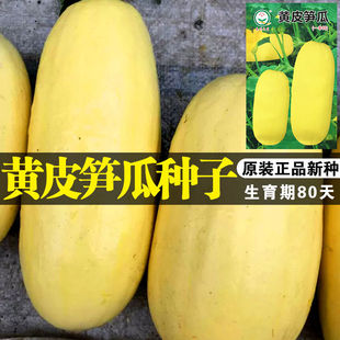 �ϹϷN���Ϲ����߲˷N�����l�˷N�ӷN�ӹ�˾