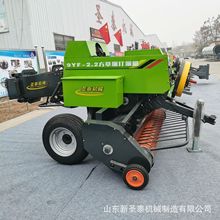 ��ʰ�����C�r��-���׽ն��A����ʰ�����C�r��-���}̩���a�S��
