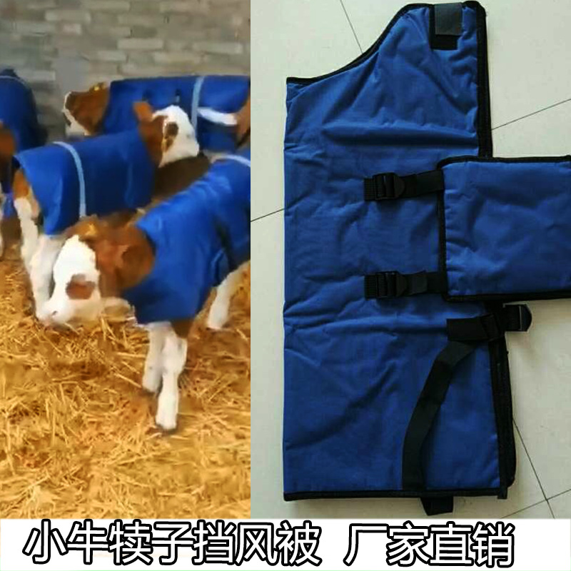 Windproof waterproof comfortable jacket