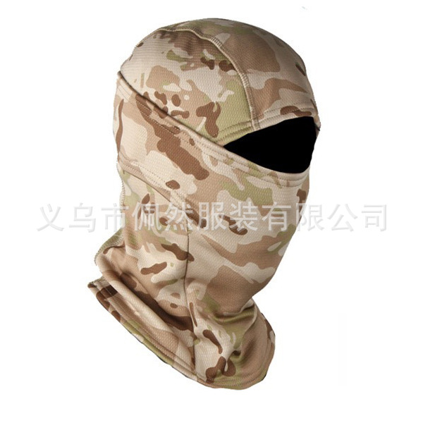 사막 cp