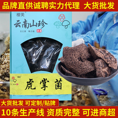 云南楷美【虎掌菌】年货菌菇干货品牌直销虎掌菌干货礼盒装汤料包