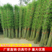 仿真毛竹假竹子酒店餐厅家居室内隔断装扮装饰竹子批发仿真竹子