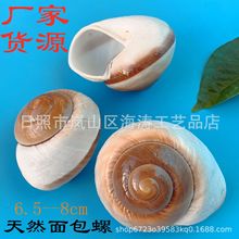 ��Ȼ����ؐ������ݴ�΁ţ���~��ˮ���b̌W�˱����l�����ֹ�