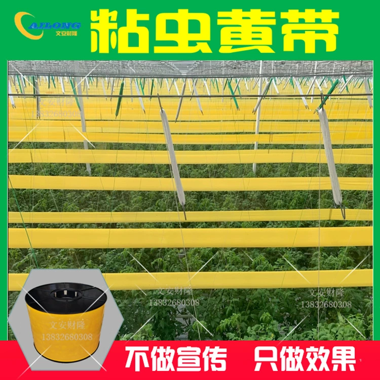 Пояс с армейским червем физический пояс против насекомых Пояс с армейским червем Желтый пояс ловушка для насекомых теплица поддержка биологического управления оптовая продажа 15 см * 1