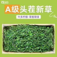 烘干紫花苜蓿草干草兔子食用草幼兔粮食龙猫荷兰猪饲料牧草用品