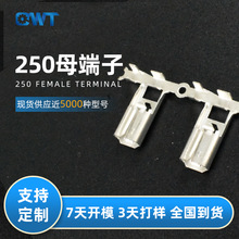乾威6.3自锁带扣真旗型 双管端横带假旗型 UL汽车母端 250母端子